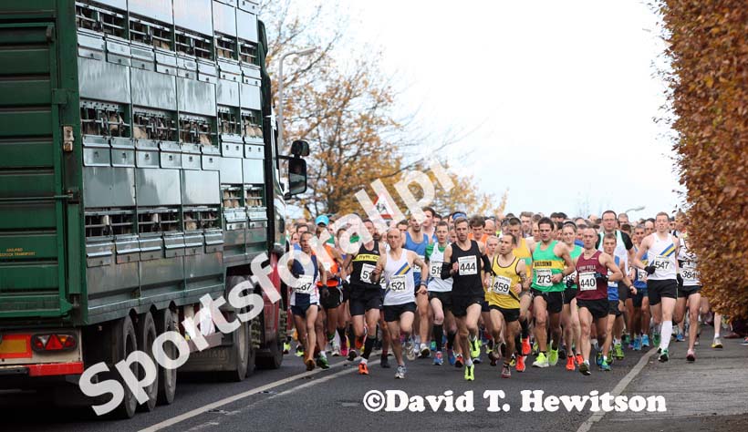 Start of the Brampton to Carlisle 10 mile Road Race with the obstacle of trying to get around a sheep transporter. Photo: David T. Hewitson/Sports for All Pics